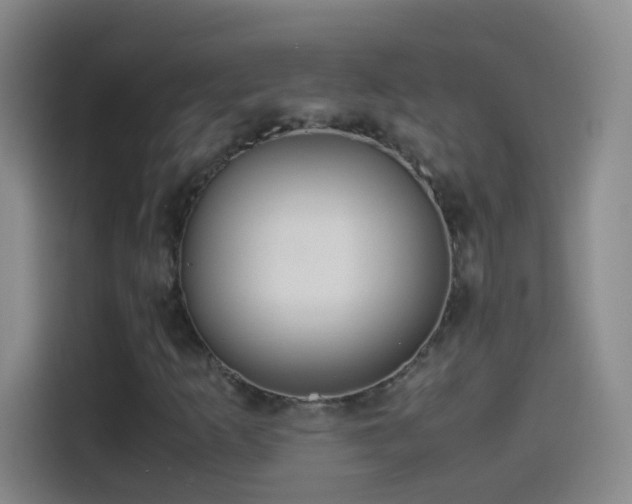 X0000114541253200910191335