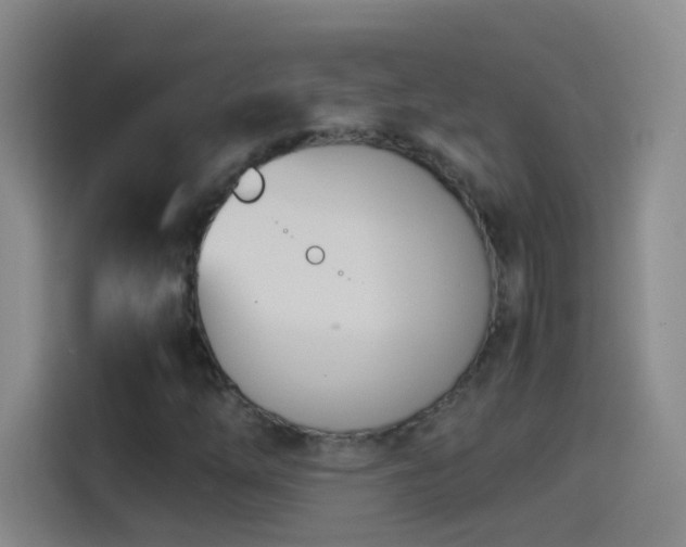 X0000114541254200910191335