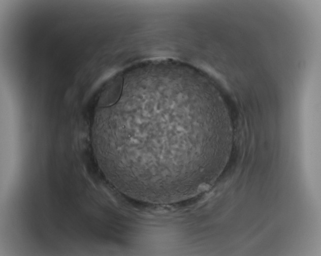 X0000114541255200910191335