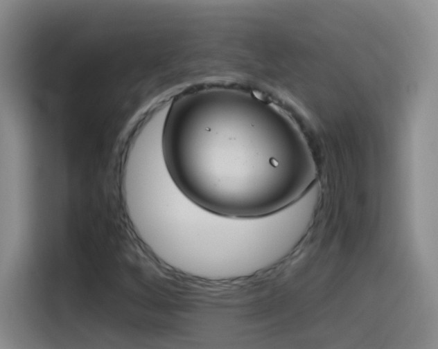 X0000114541256200910191335