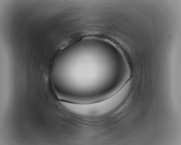 X0000114541257200910191335