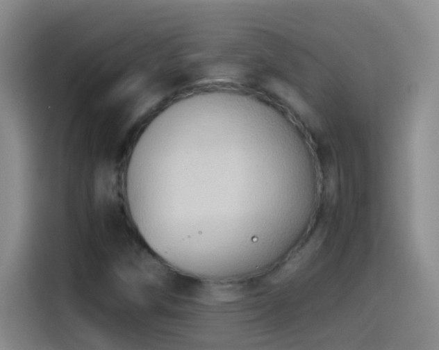 X0000114541258200910191335