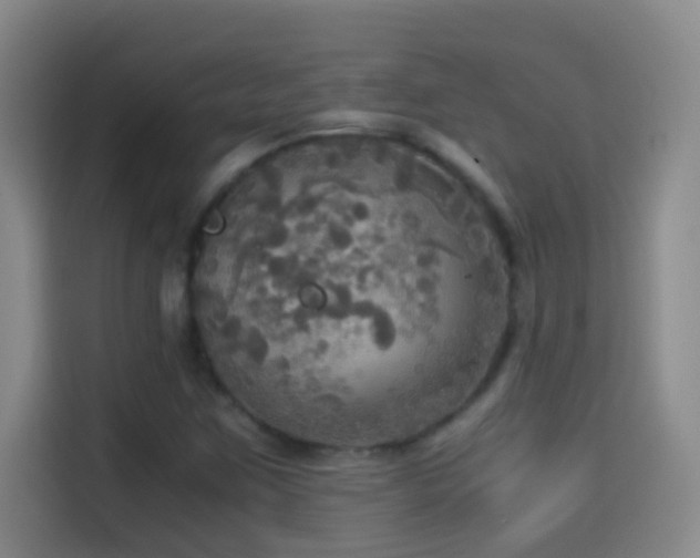 X0000114541259200910191335