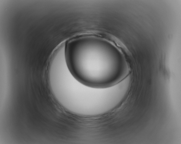 X0000114541260200910191335