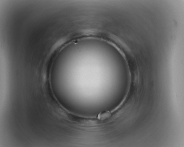 X0000114541261200910191335