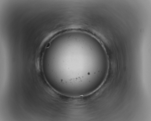 X0000114541262200910191335