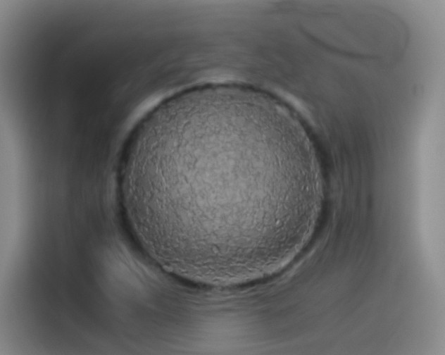 X0000114541263200910191335