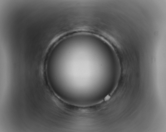 X0000114541264200910191335