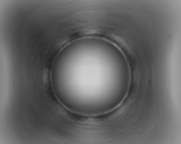 X0000114541265200910191335