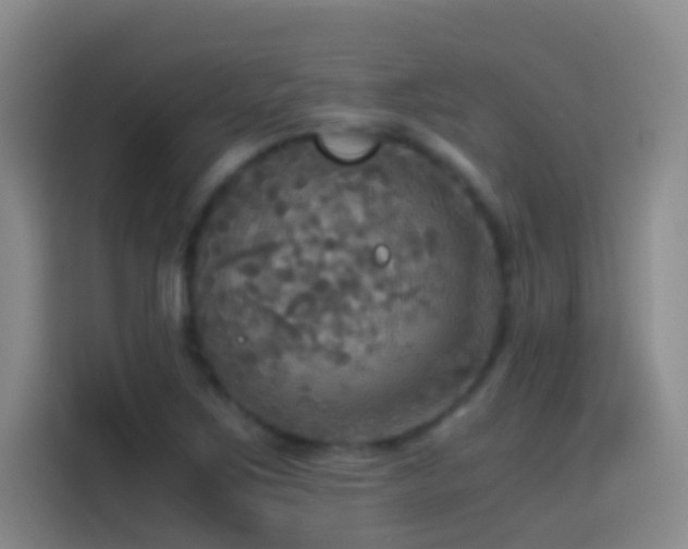 X0000114541267200910191335