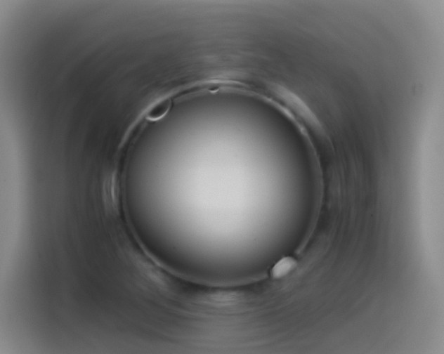 X0000114541268200910191335