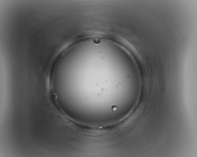 X0000114541269200910191334