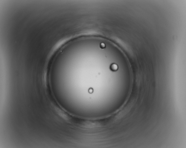 X0000114541270200910191334