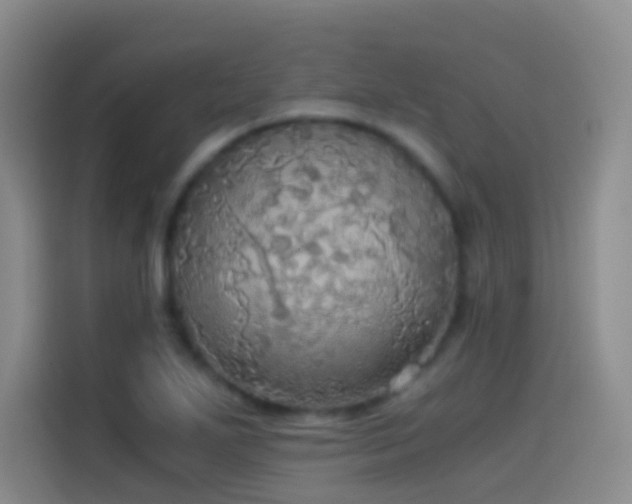 X0000114541271200910191334