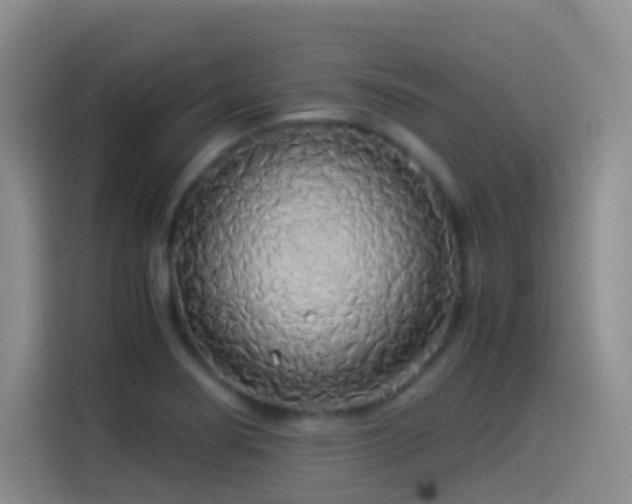 X0000114541274200910191334