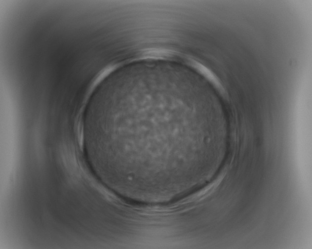 X0000114541275200910191334