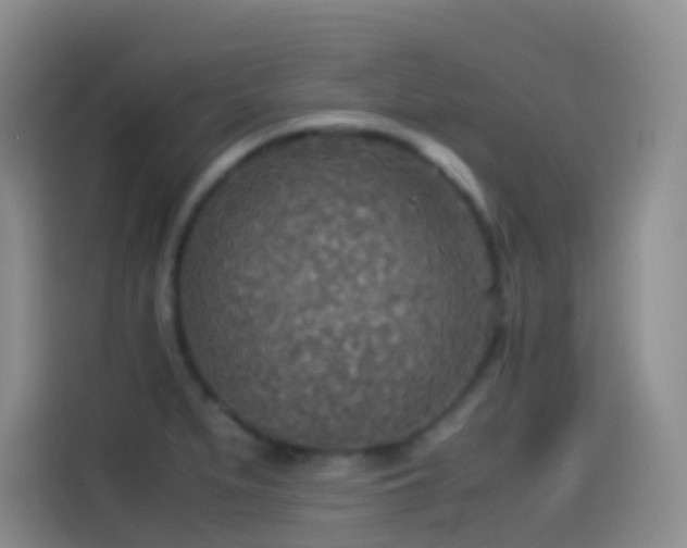 X0000114541279200910191334