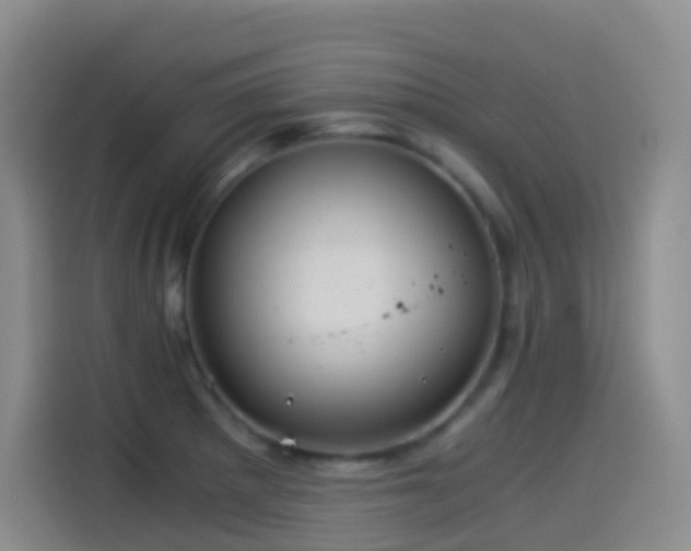 X0000114541281200910191334