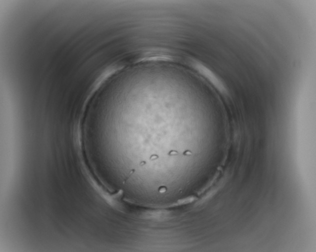 X0000114541282200910191334