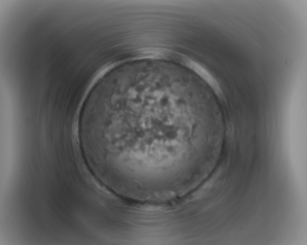 X0000114541283200910191334