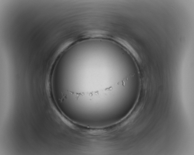 X0000114541285200910191334