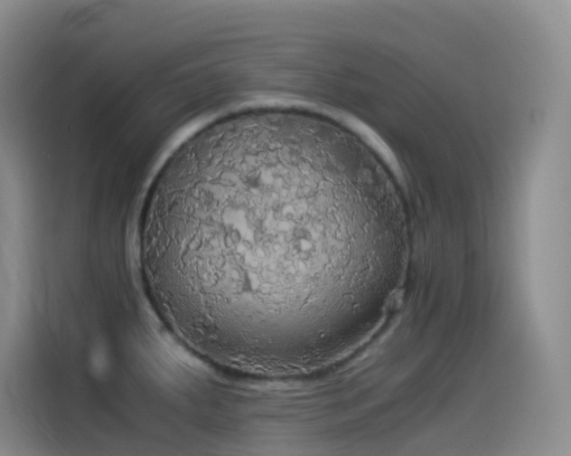 X0000114541287200910191334