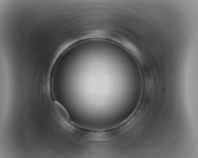 X0000114541288200910191334