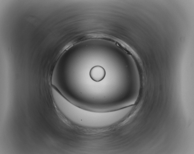 X0000114541289200910191334