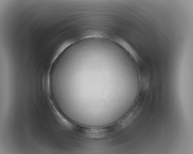 X0000114541290200910191334