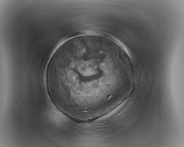 X0000114541291200910191334