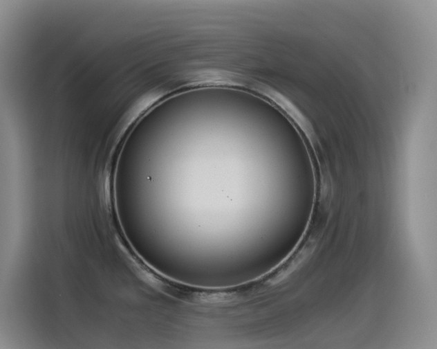 X0000114541293200910191334