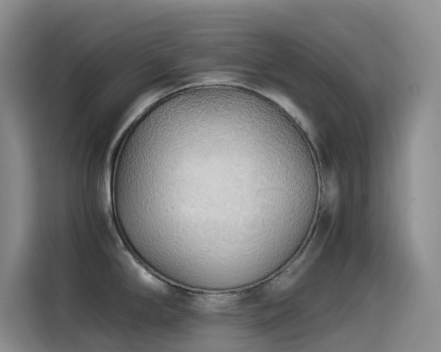 X0000114541294200910191334