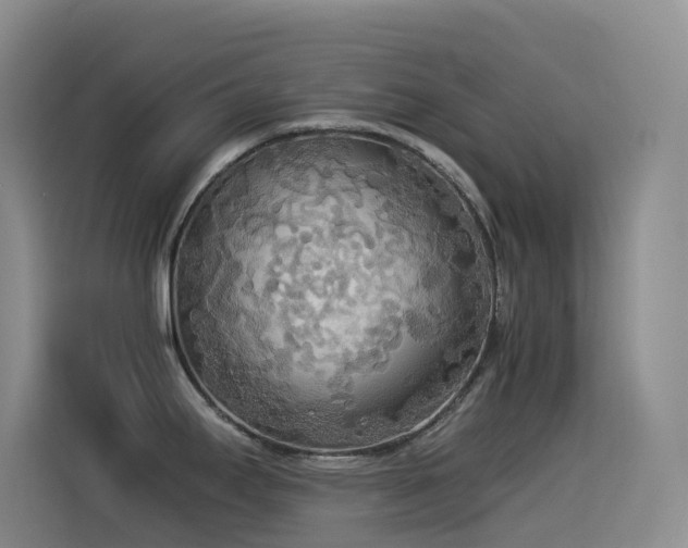 X0000114541295200910191334