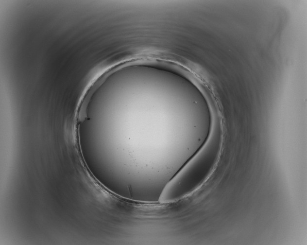 X0000114541296200910191334