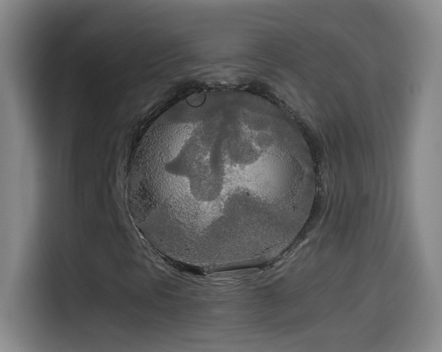 X0000114541297200910191334