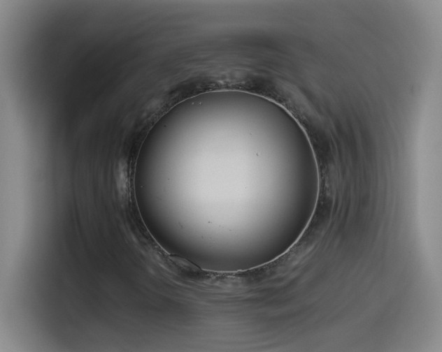 X0000114541298200910191334