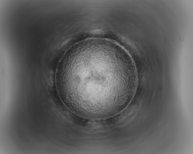 X0000114541301200910191334