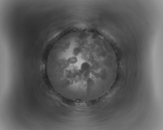 X0000114541302200910191334