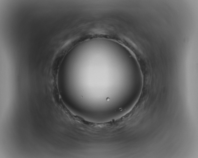 X0000114541303200910191334