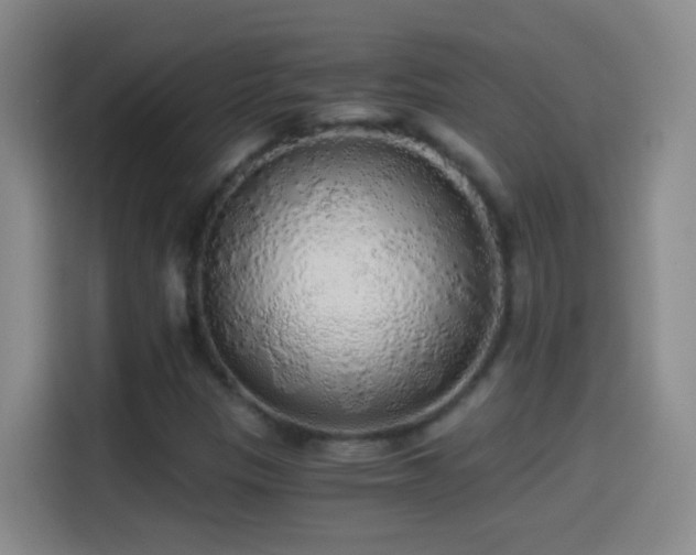 X0000114541305200910191334