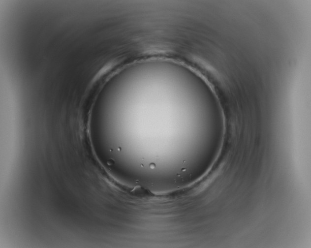 X0000114541306200910191334