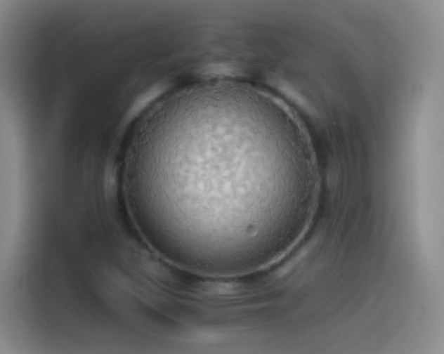 X0000114541309200910191334