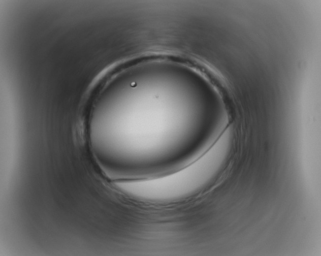 X0000114541310200910191334