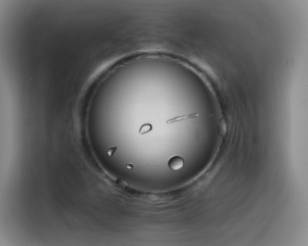 X0000114541311200910191334