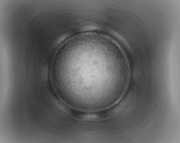 X0000114541313200910191334