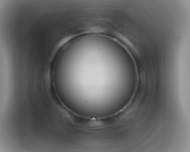 X0000114541315200910191334