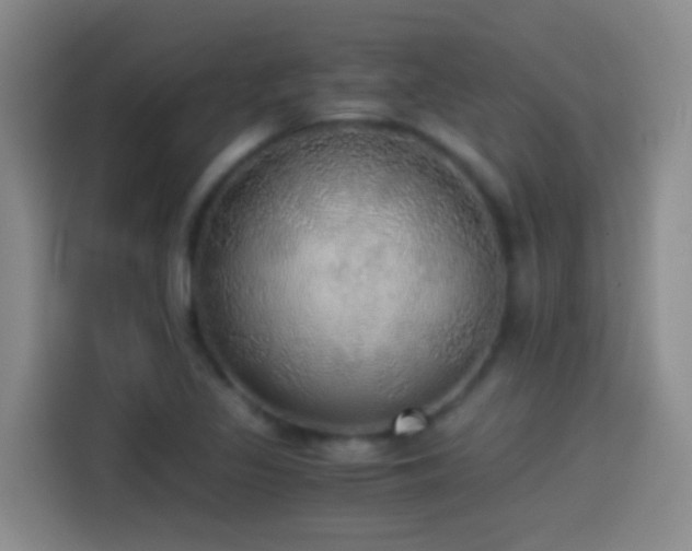 X0000114541317200910191334