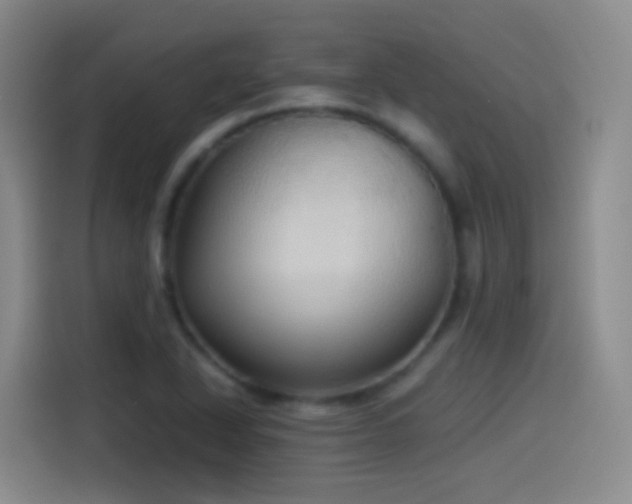 X0000114541318200910191334