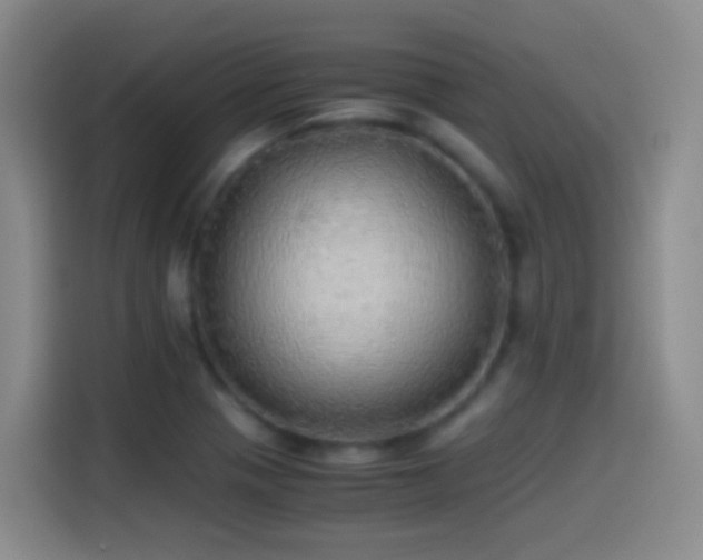 X0000114541321200910191334