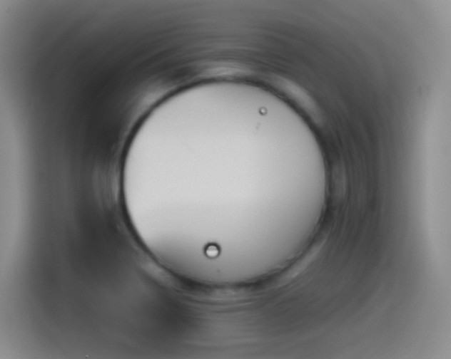 X0000114541322200910191334